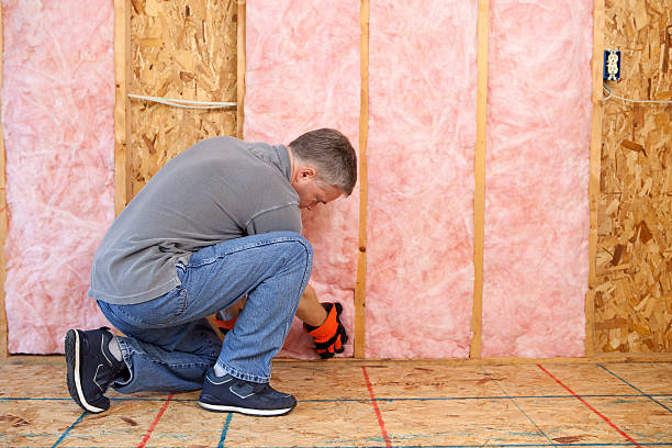 Best Insulation Installation Services in East Tawas, MI